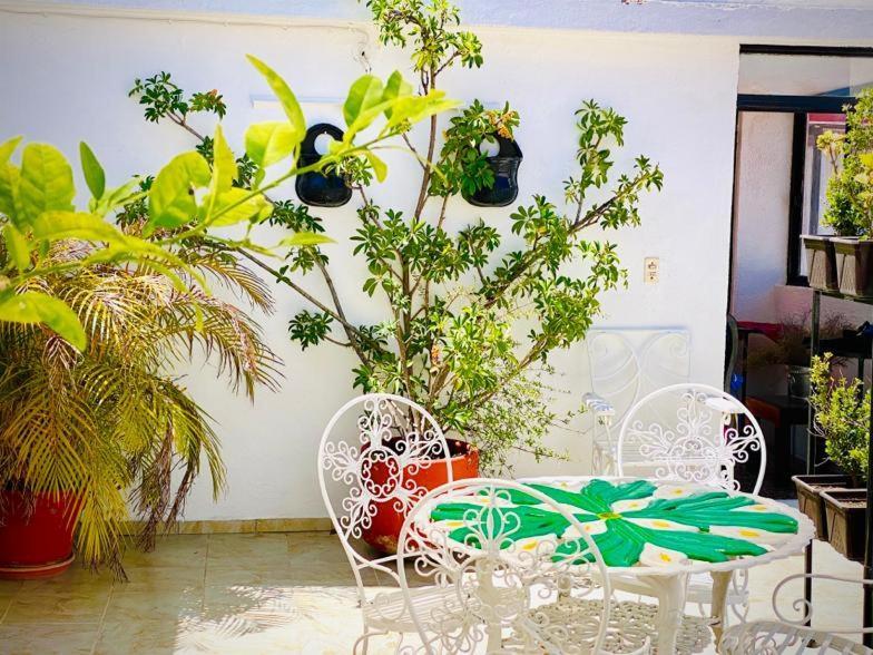 Casa Mexicana Hotell Guanajuato Eksteriør bilde